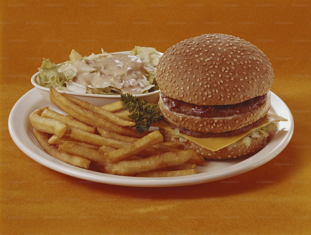 a plate with a hamburger and french fries on it