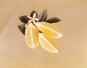 a close up of an orange on a branch with leaves