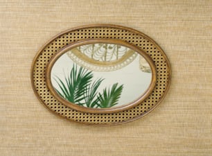 a mirror that is on a wall near a plant
