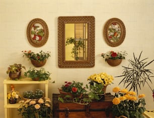 a room filled with potted plants and a mirror