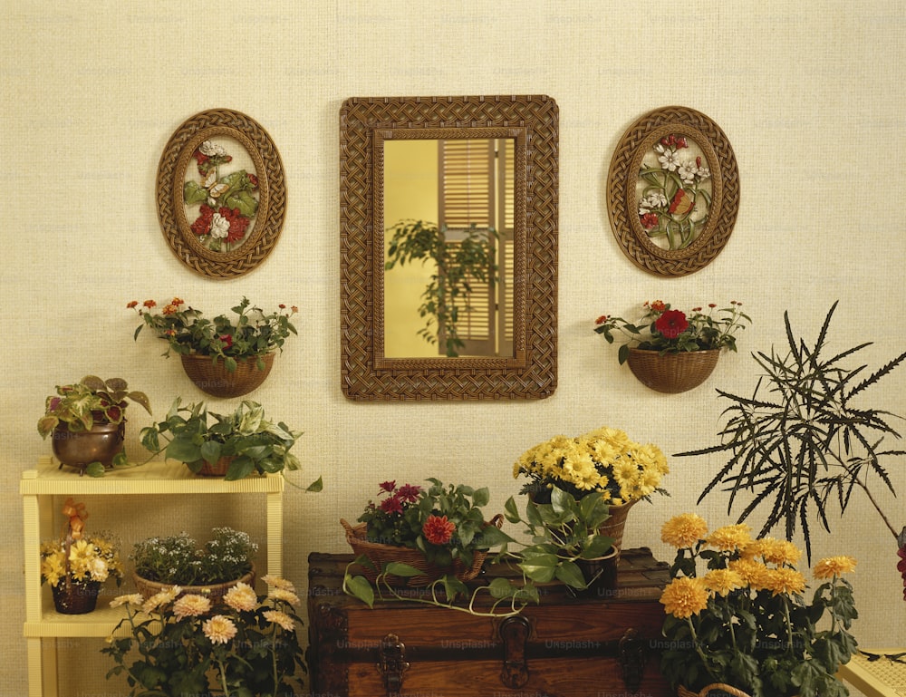 una habitación llena de plantas en macetas y un espejo