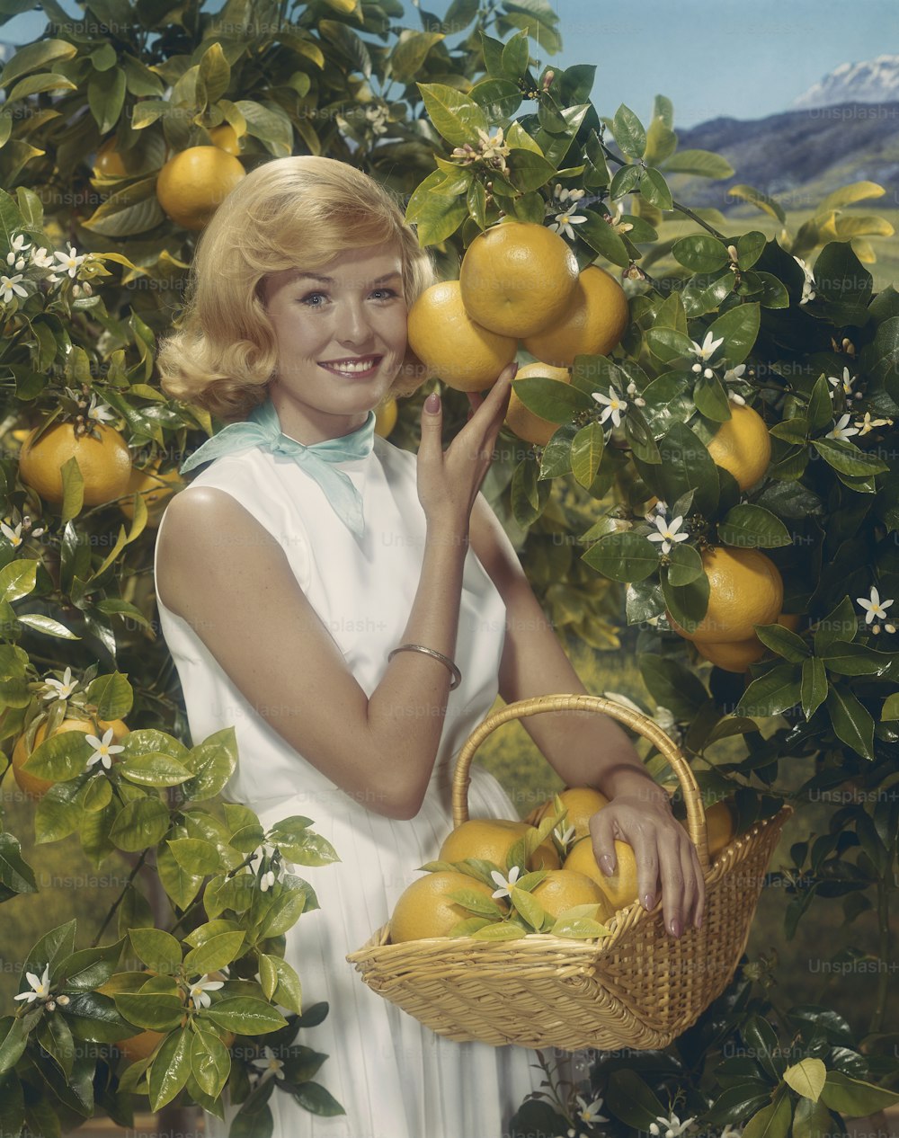 une peinture d’une femme tenant un panier de citrons