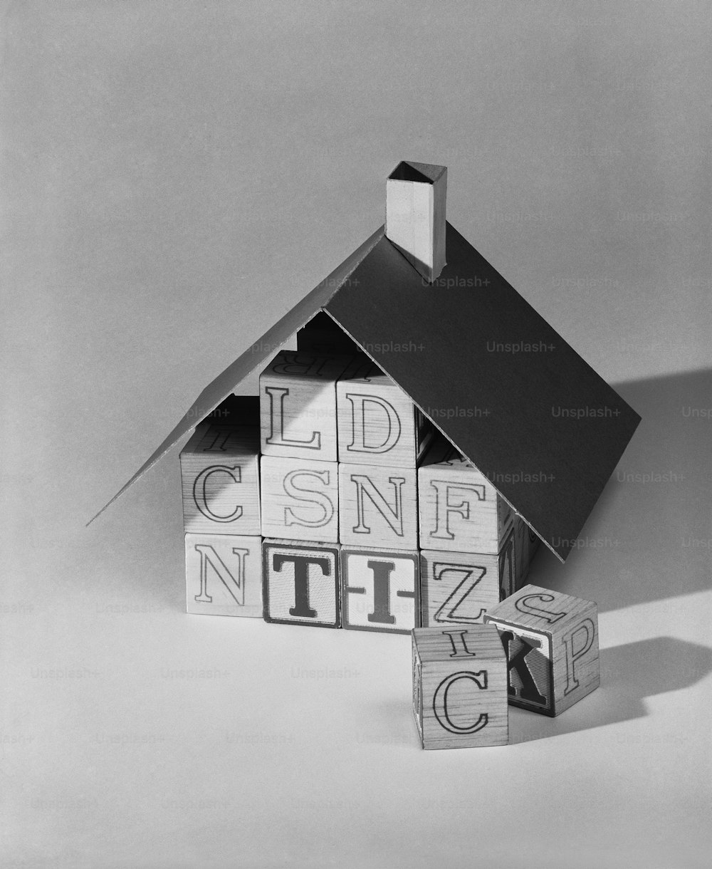 uma foto em preto e branco de uma casa feita de blocos