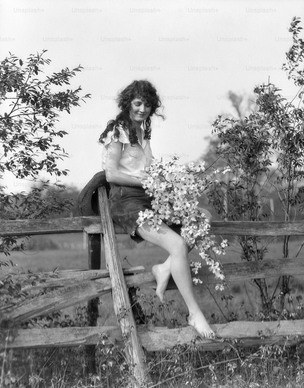 ÉTATS-UNIS - Circa 1930s : Femme souriante assise sur une clôture à rail fendu pieds nus portant un jean coupé et une chemise à manches courtes tenant une grappe de fleurs de cornouiller romantique.