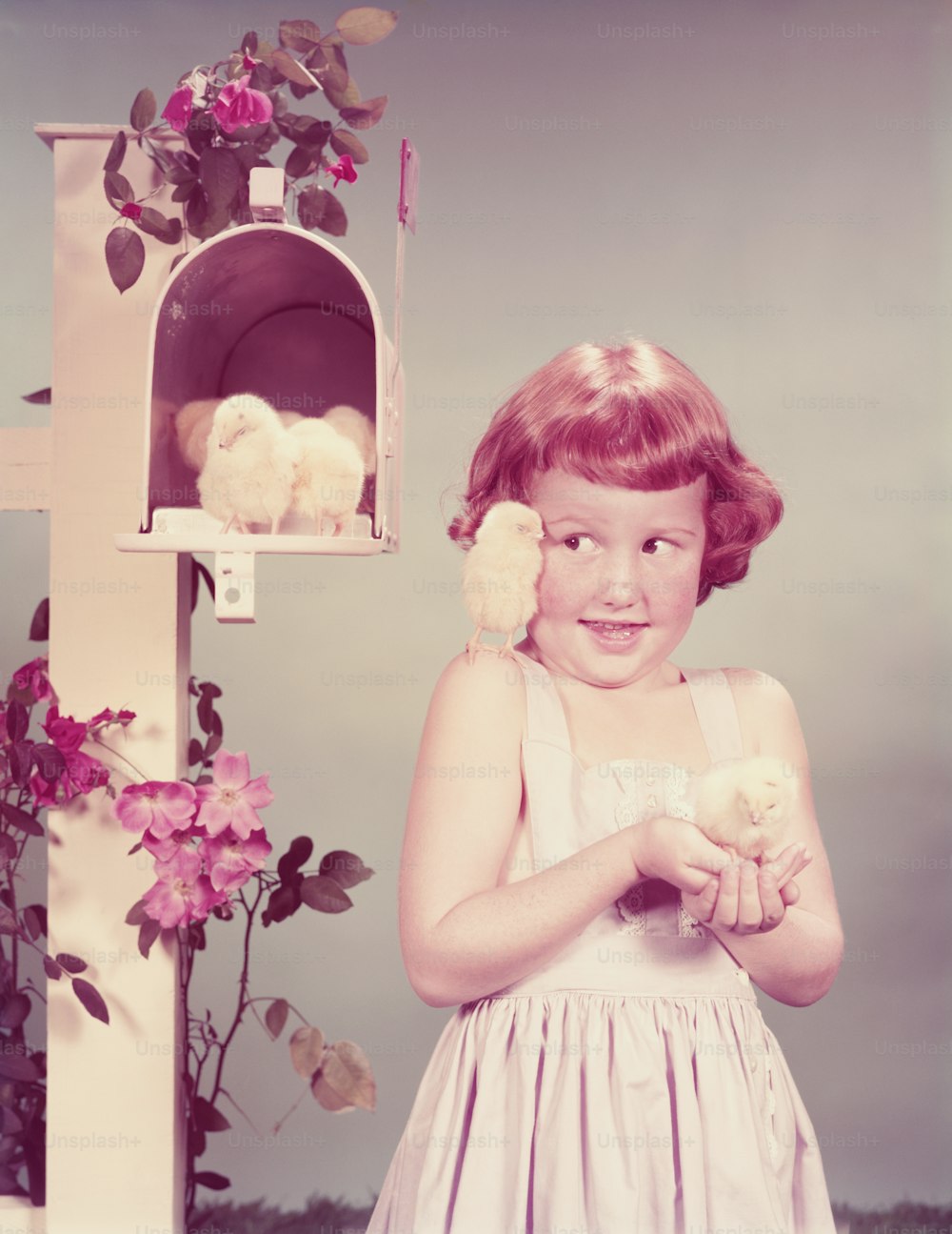 アメリカ合衆国 - 1950年代頃:郵便受けにひよこを抱いた郵便受けのそばの赤毛の女の子、肩にもう一人、郵便受けにもっと。