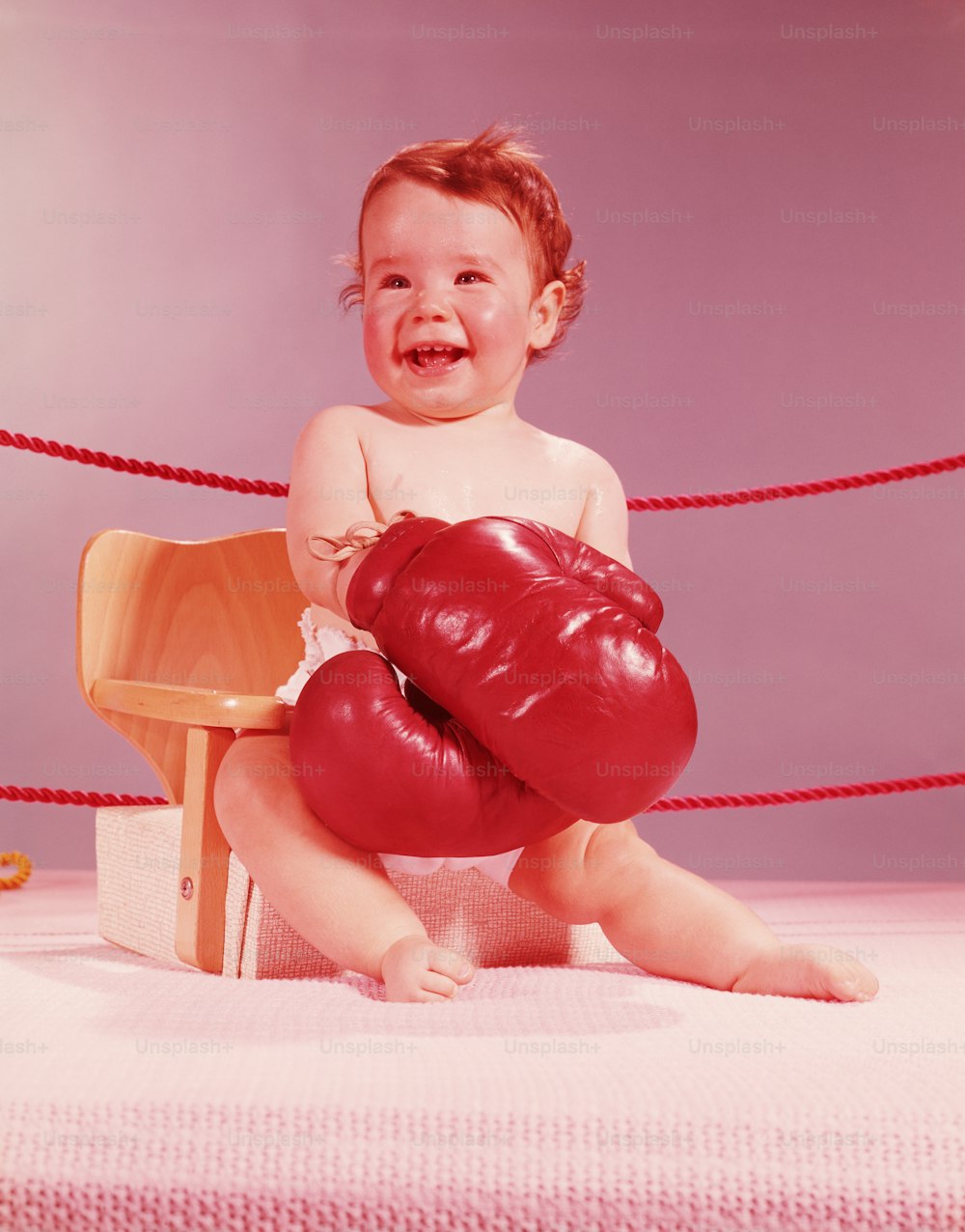 UNITED STATES - CIRCA 1950s:  Baby sat on chair in boxing ring, wearing boxing gloves, smiling.