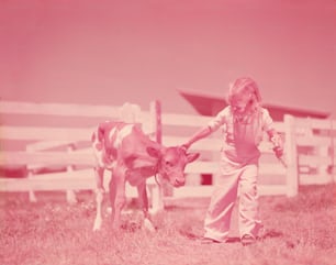UNITED STATES - CIRCA 1940s:  Young girl with Guernsey calf.