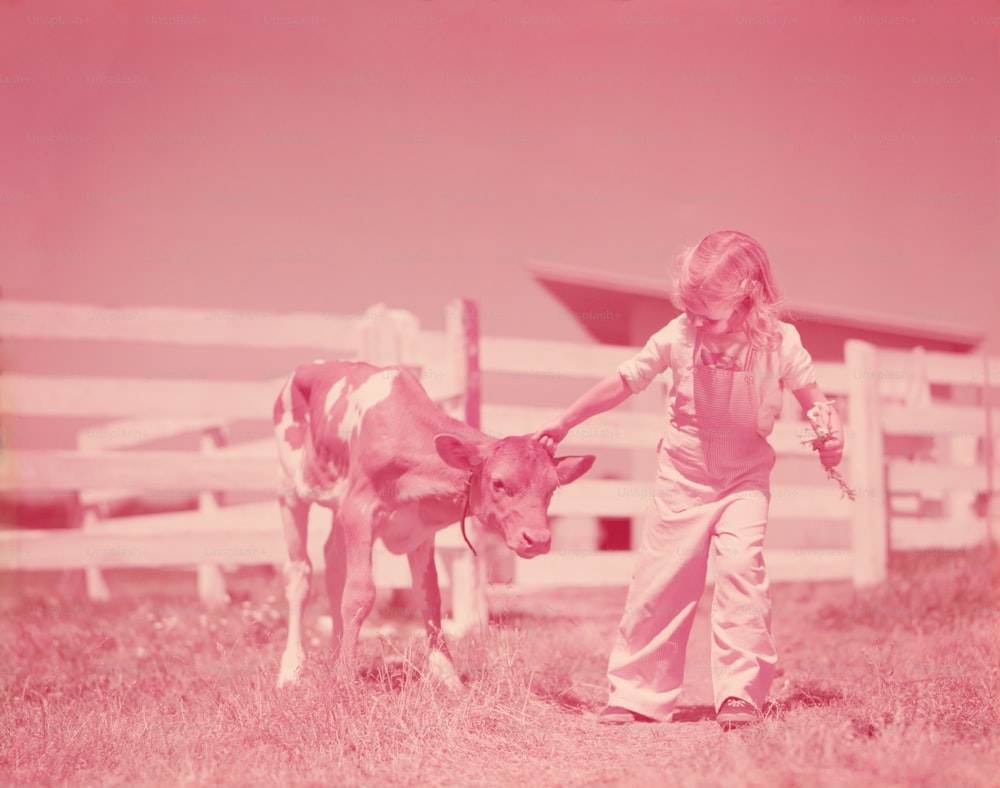 미국 - 1940년대경: 건지 송아지를 가진 어린 소녀.