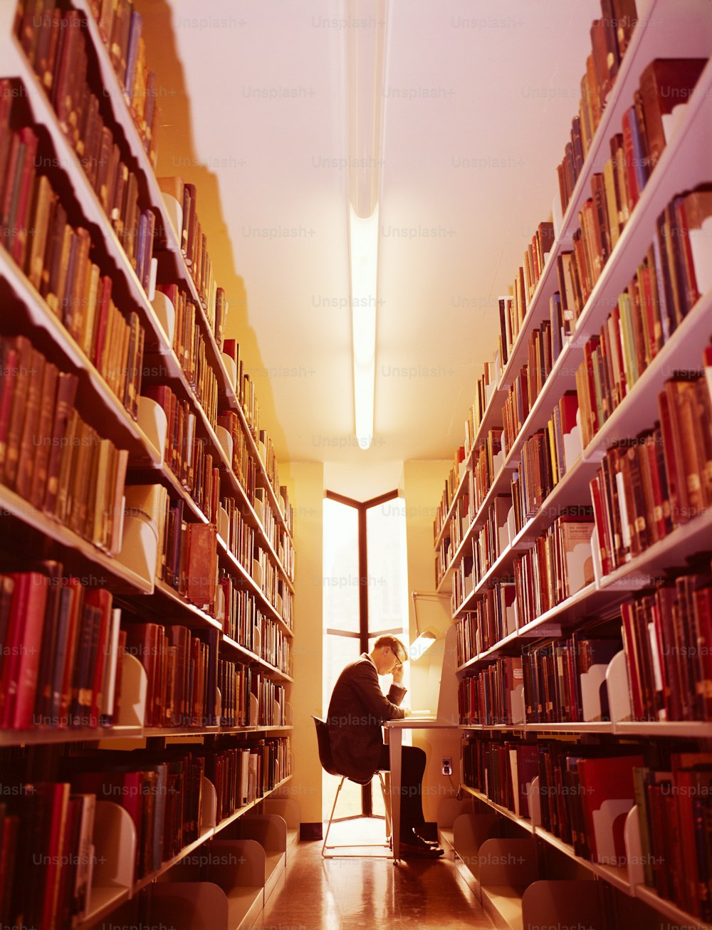 미국 - 1960년대경: 도서관에 있는 남자.
