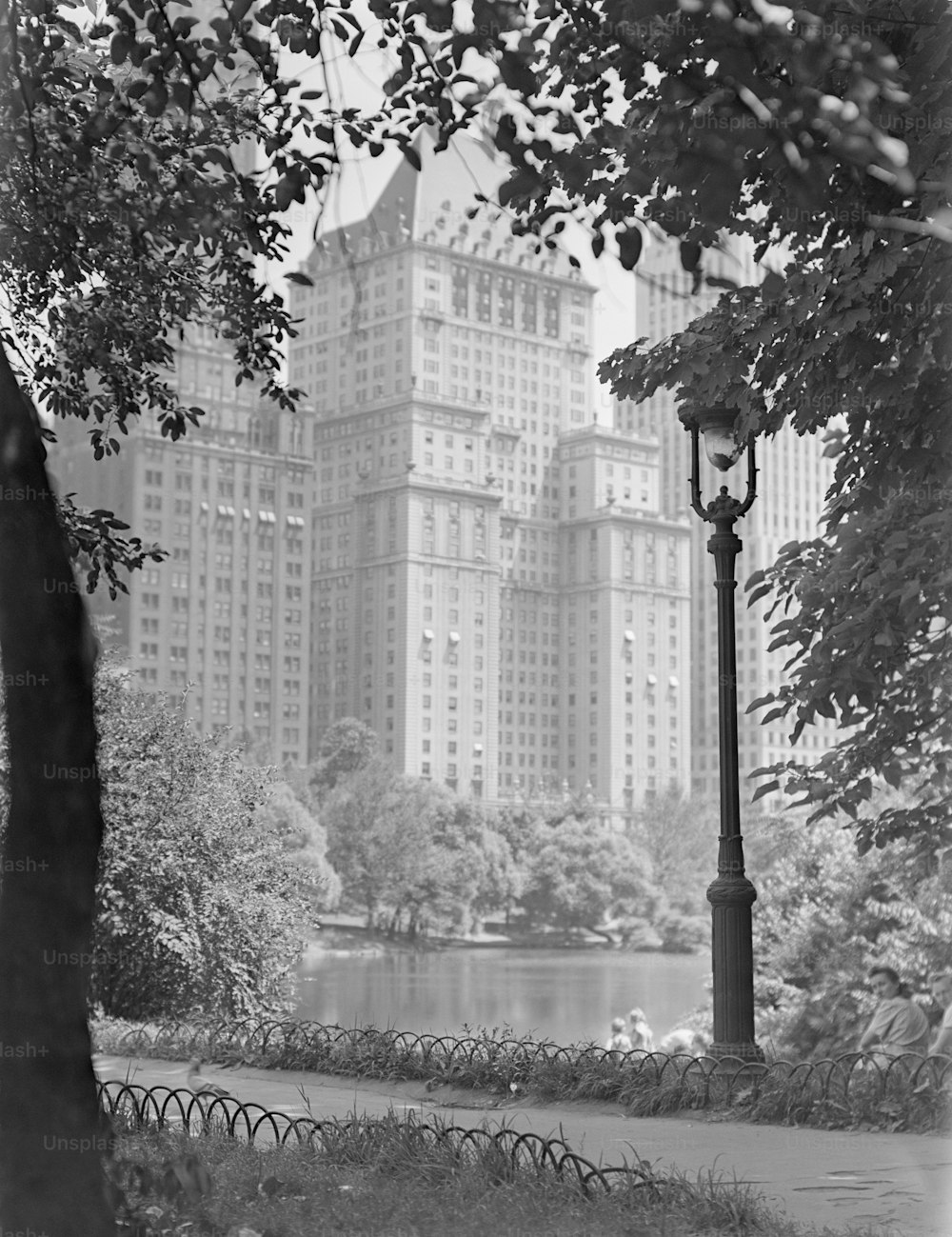 a black and white photo of a city park