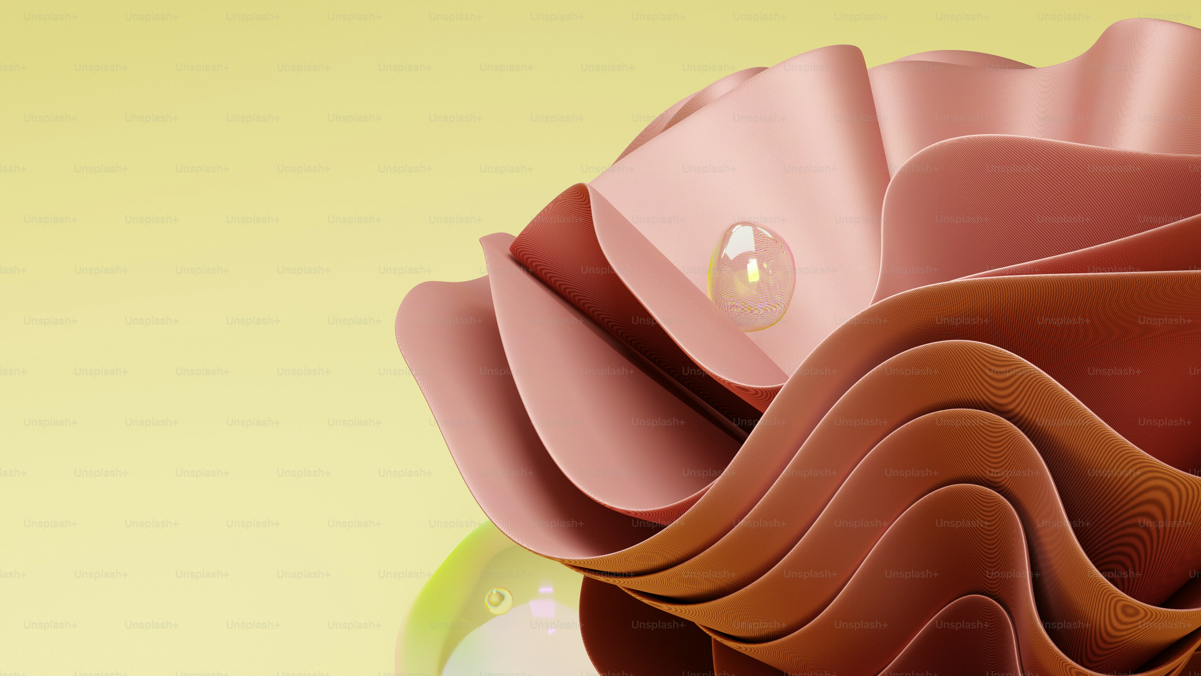 a close up of a flower with a yellow background