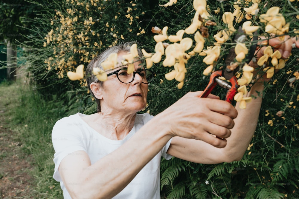 a woman is cutting flowers with scissors