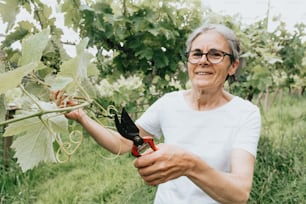 a woman holding a plant with scissors in her hand