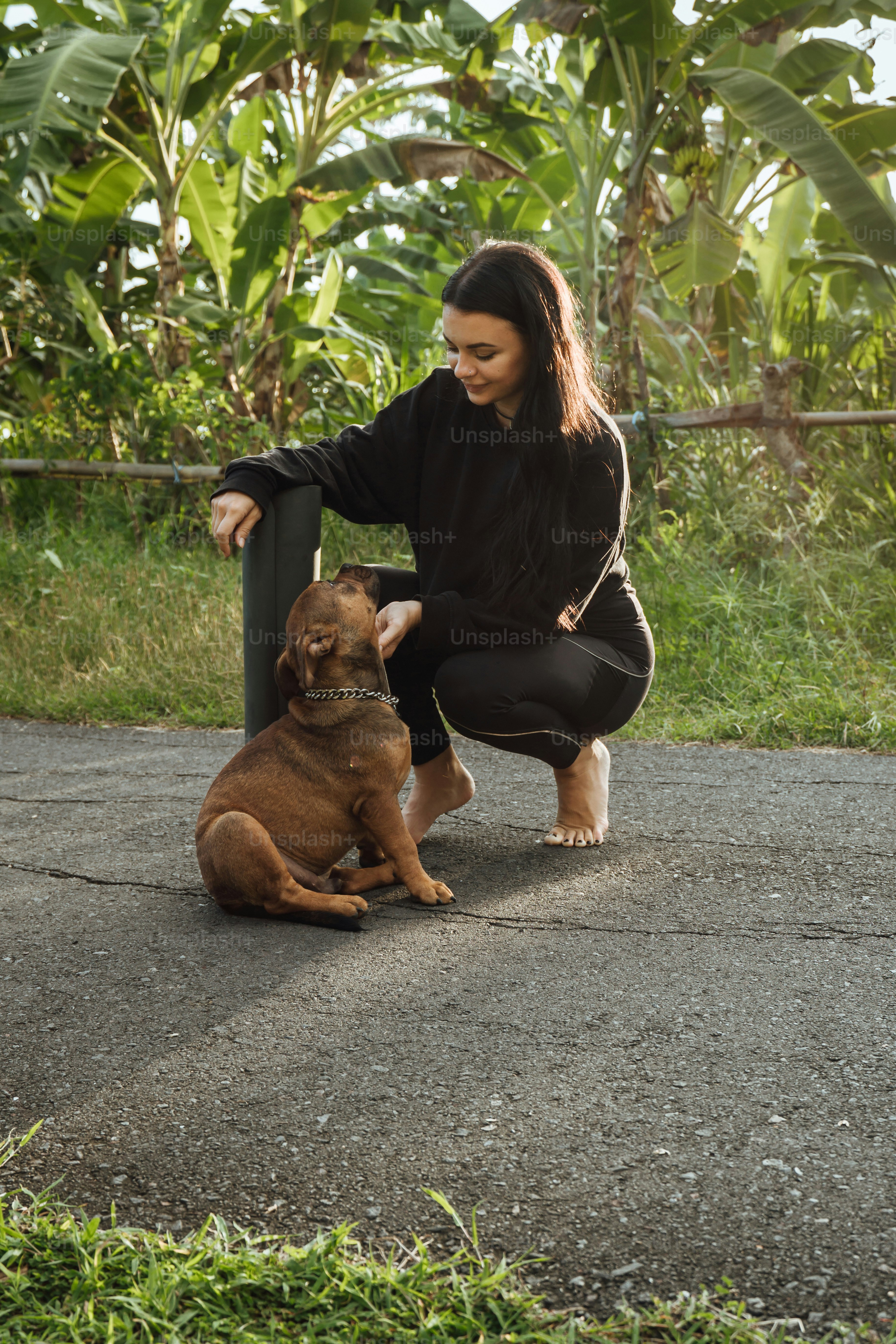 A woman kneeling down next to a brown dog photo – Animal Image on Unsplash