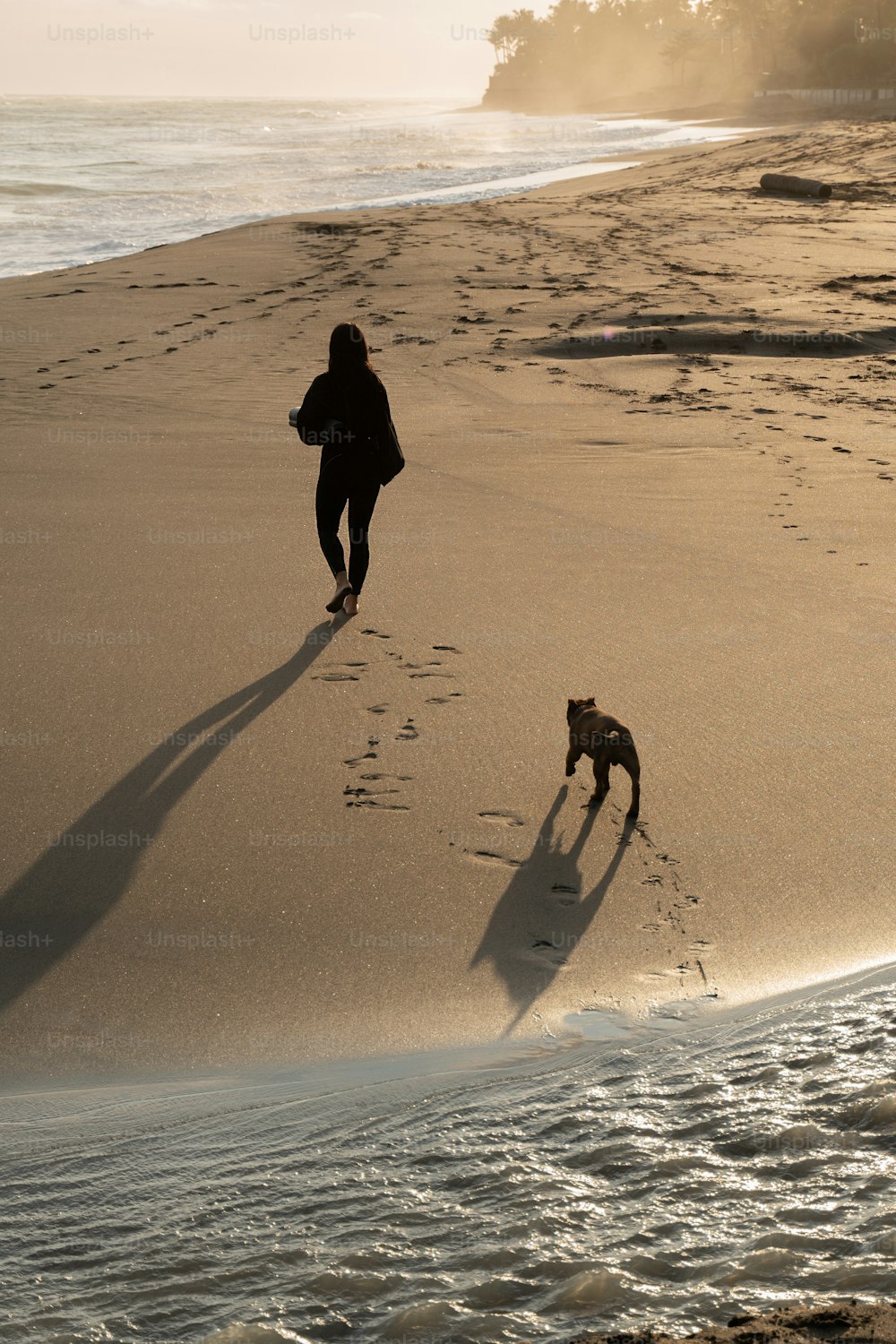 una persona che cammina su una spiaggia con un cane