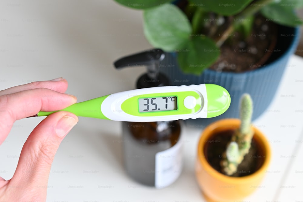 une personne tenant un thermomètre à côté d’une plante en pot