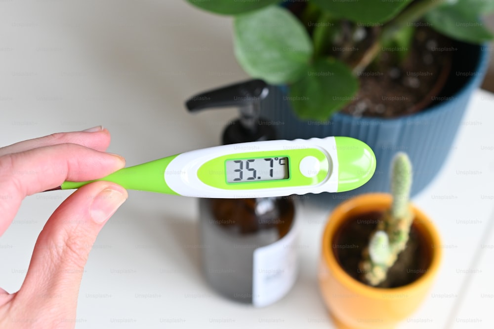 una persona sosteniendo un termómetro junto a una planta en maceta