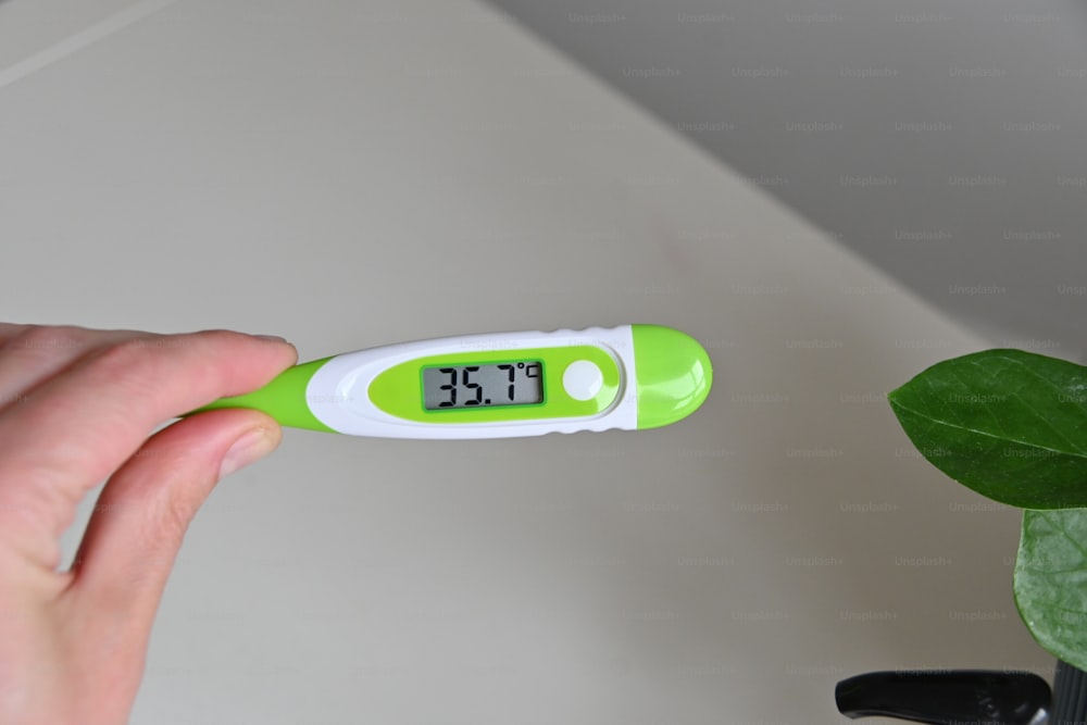 a person holding a thermometer in their hand