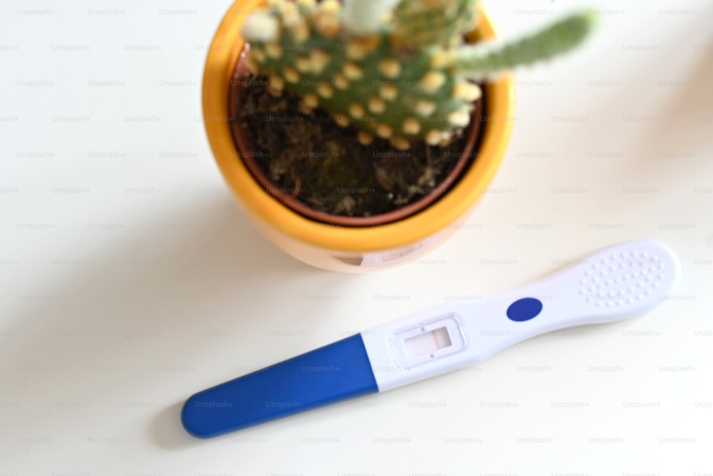 a blue and white thermometer next to a cactus