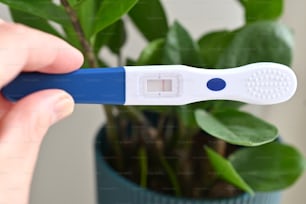 eine Person, die einen negativen Schwangerschaftstest vor einer Topfpflanze hält