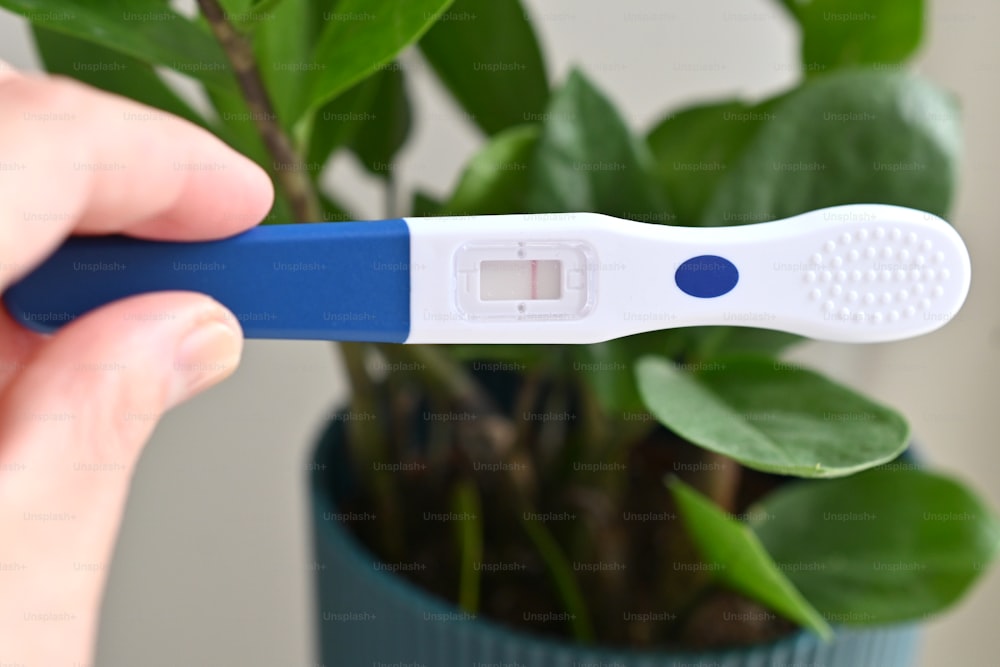una persona que sostiene una prueba de embarazo negativa frente a una planta en maceta