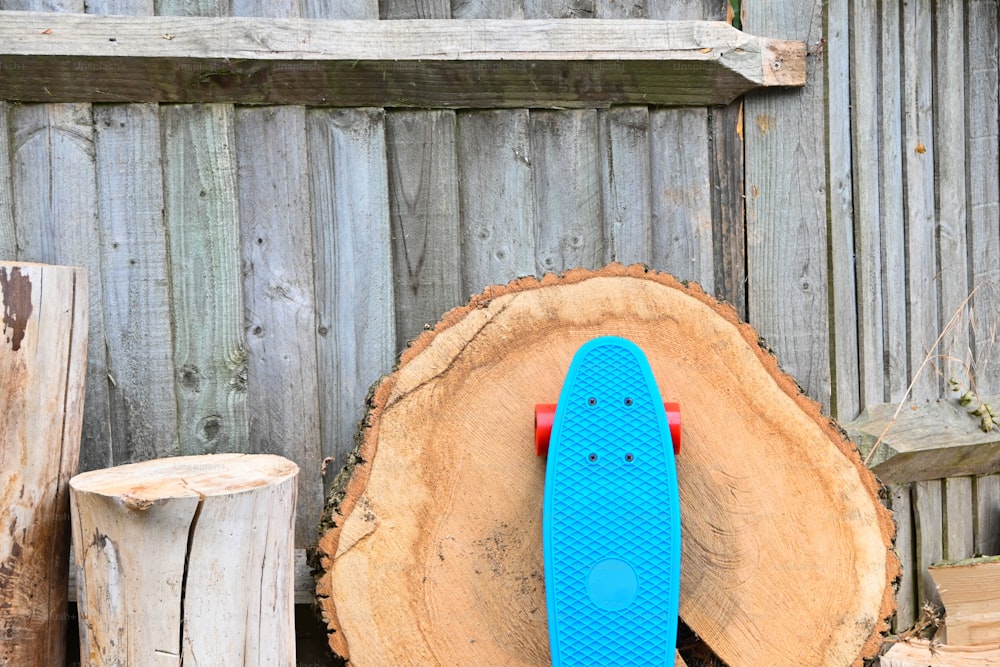a blue skateboard leaning against a tree stump