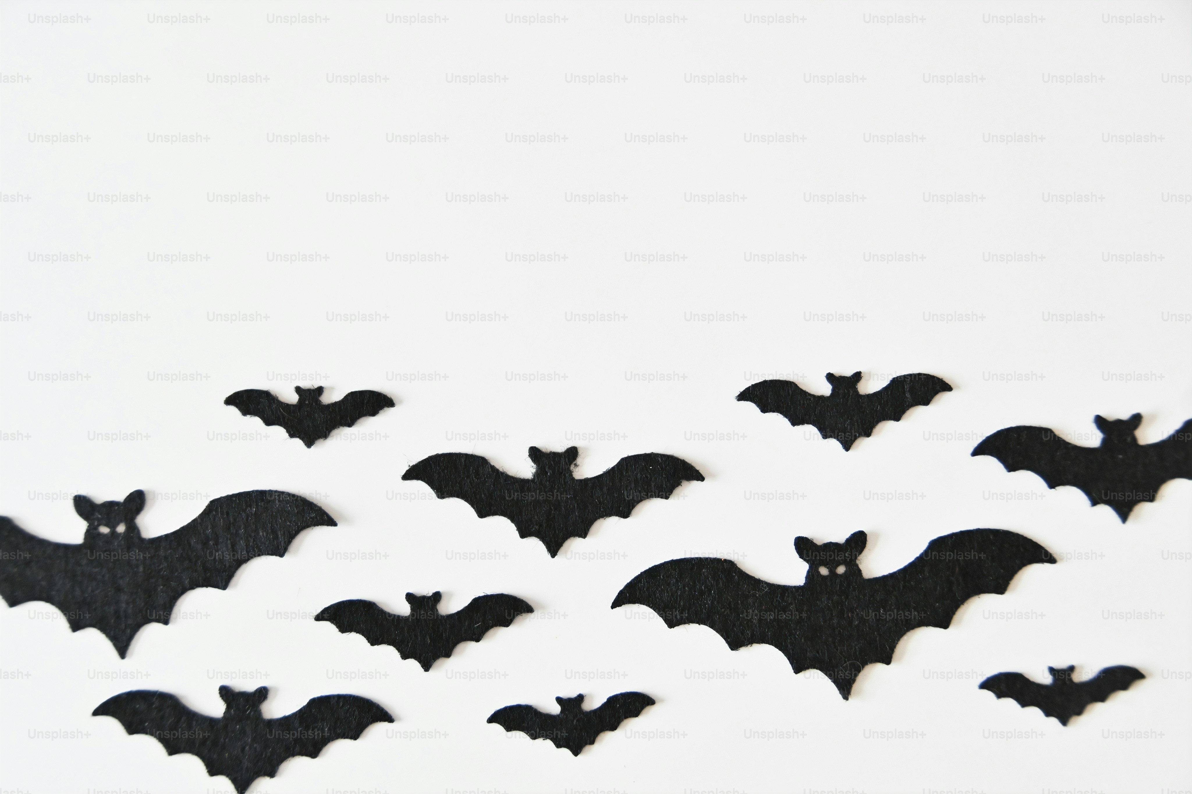 A group of bats on a white background photo – Halloween wallpapers ...
