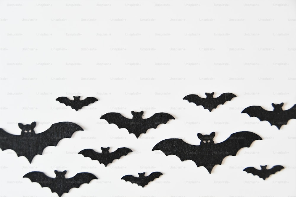 um grupo de morcegos em um fundo branco