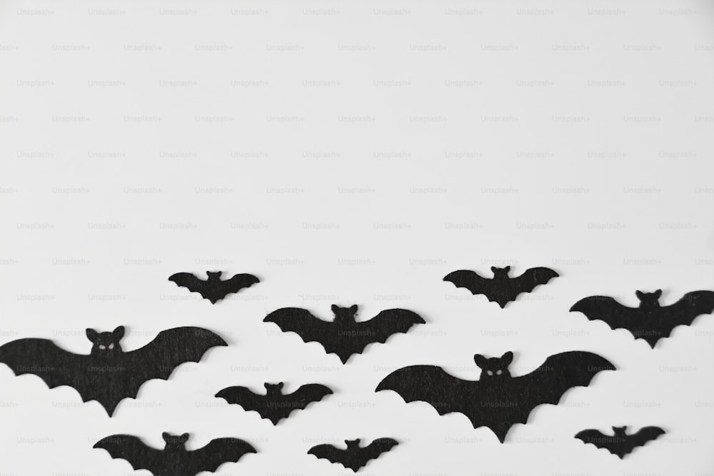 um grupo de morcegos voando pelo ar