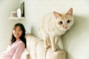 a woman sitting on a couch next to a cat