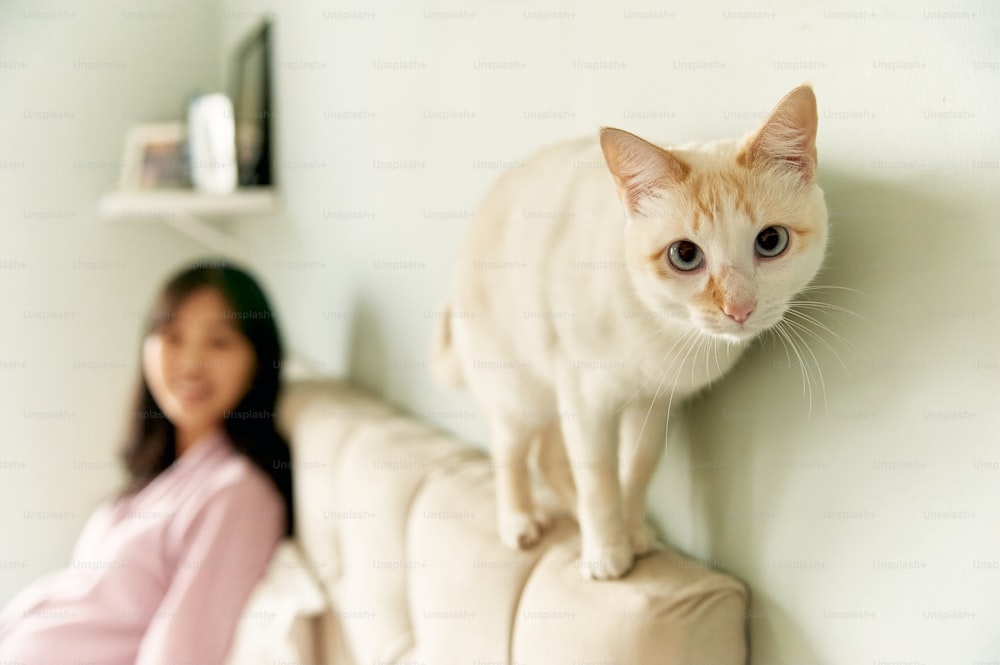 Una mujer sentada en un sofá junto a un gato