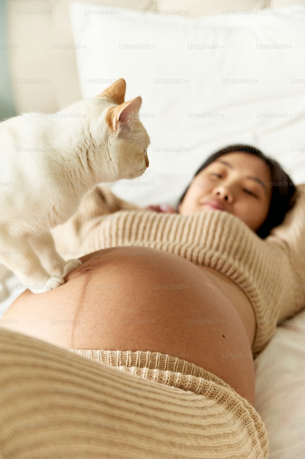 a woman laying in bed with a cat on her stomach