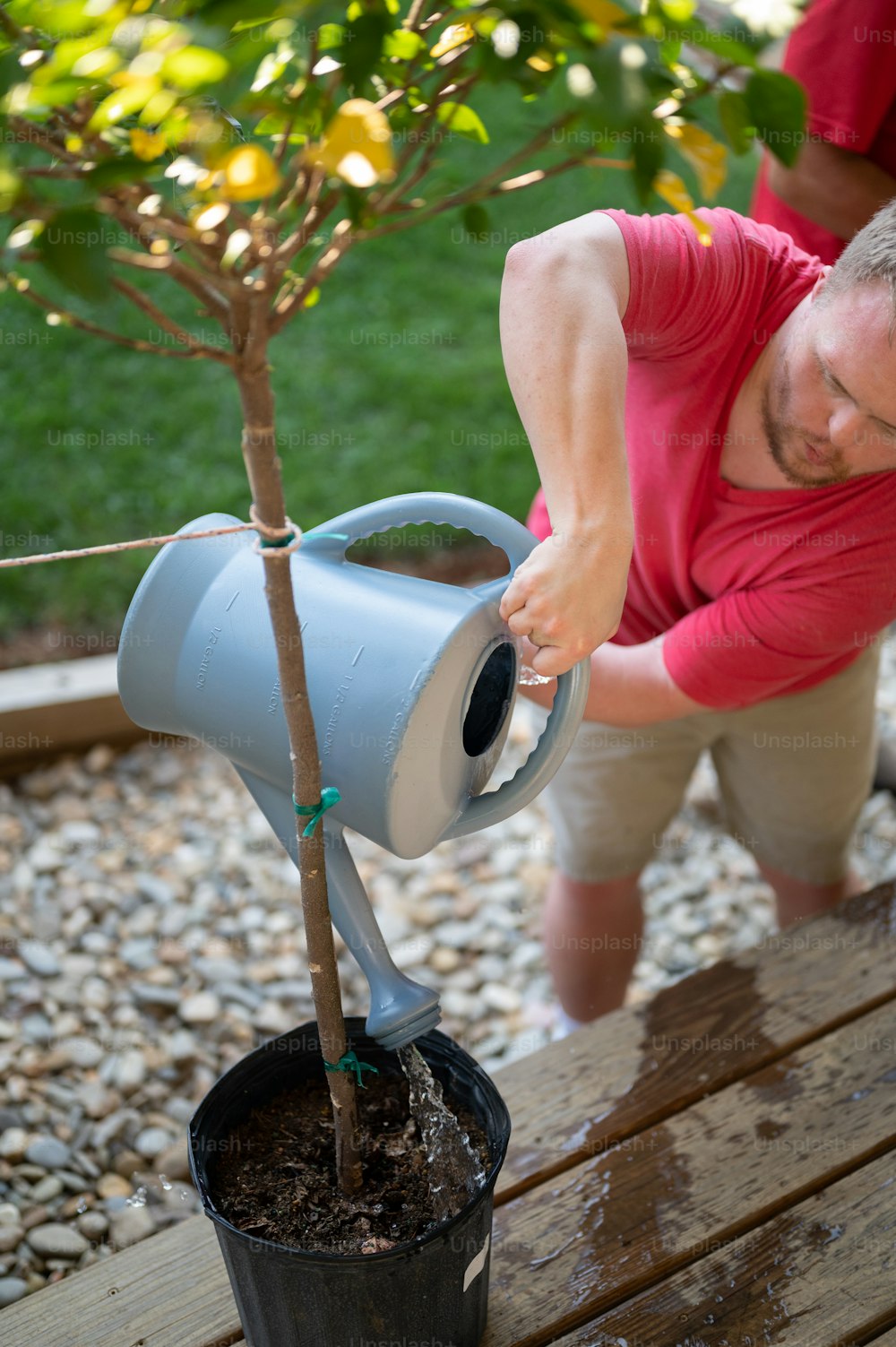 a man watering a small tree in a pot