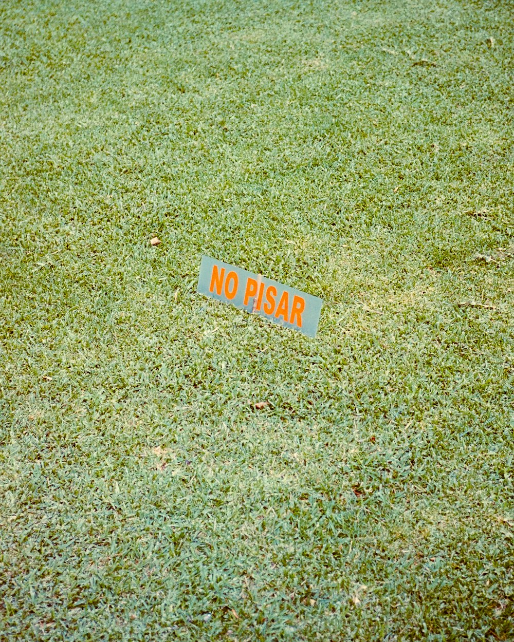 um sinal que está sentado na grama