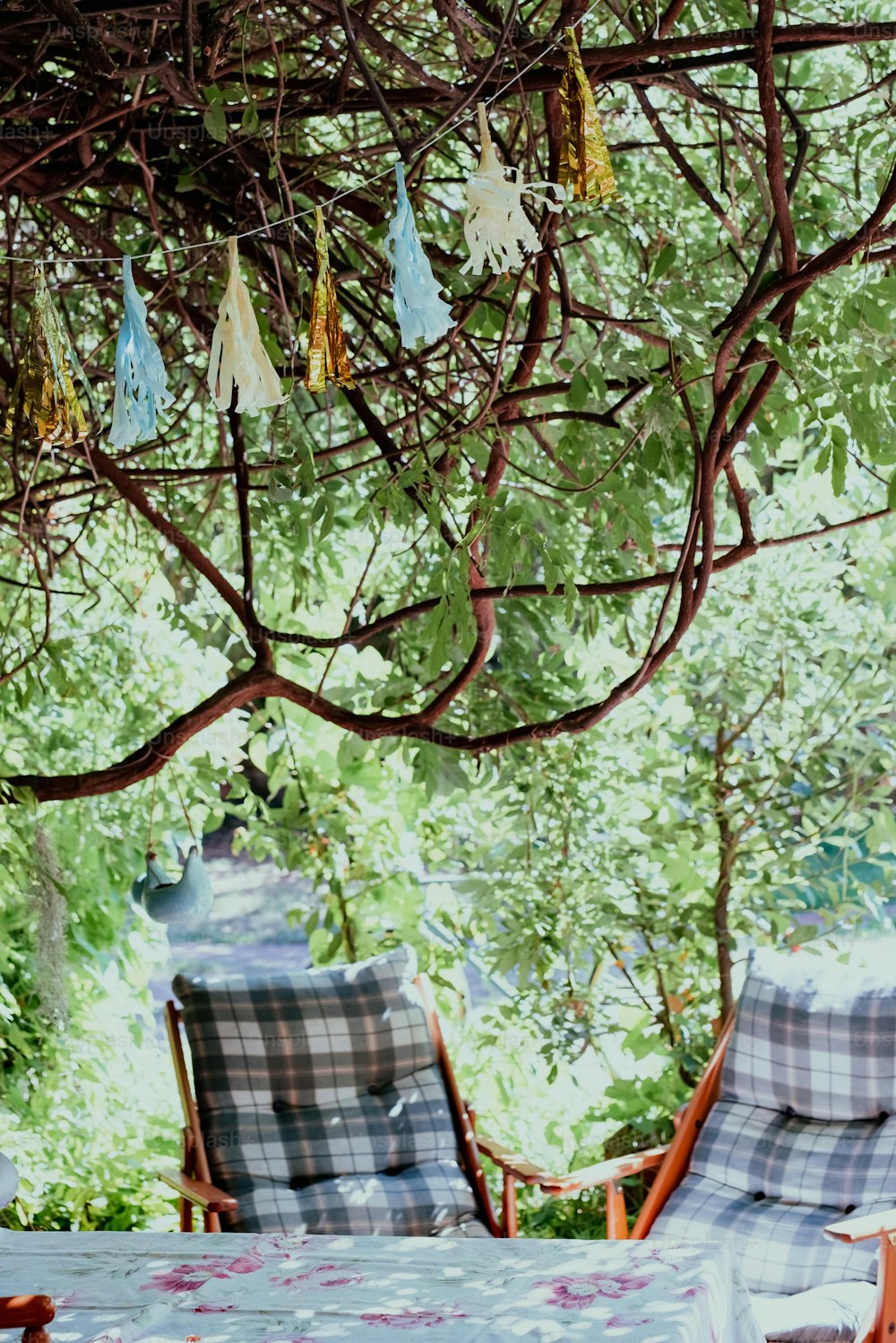 a couple of chairs sitting under a tree