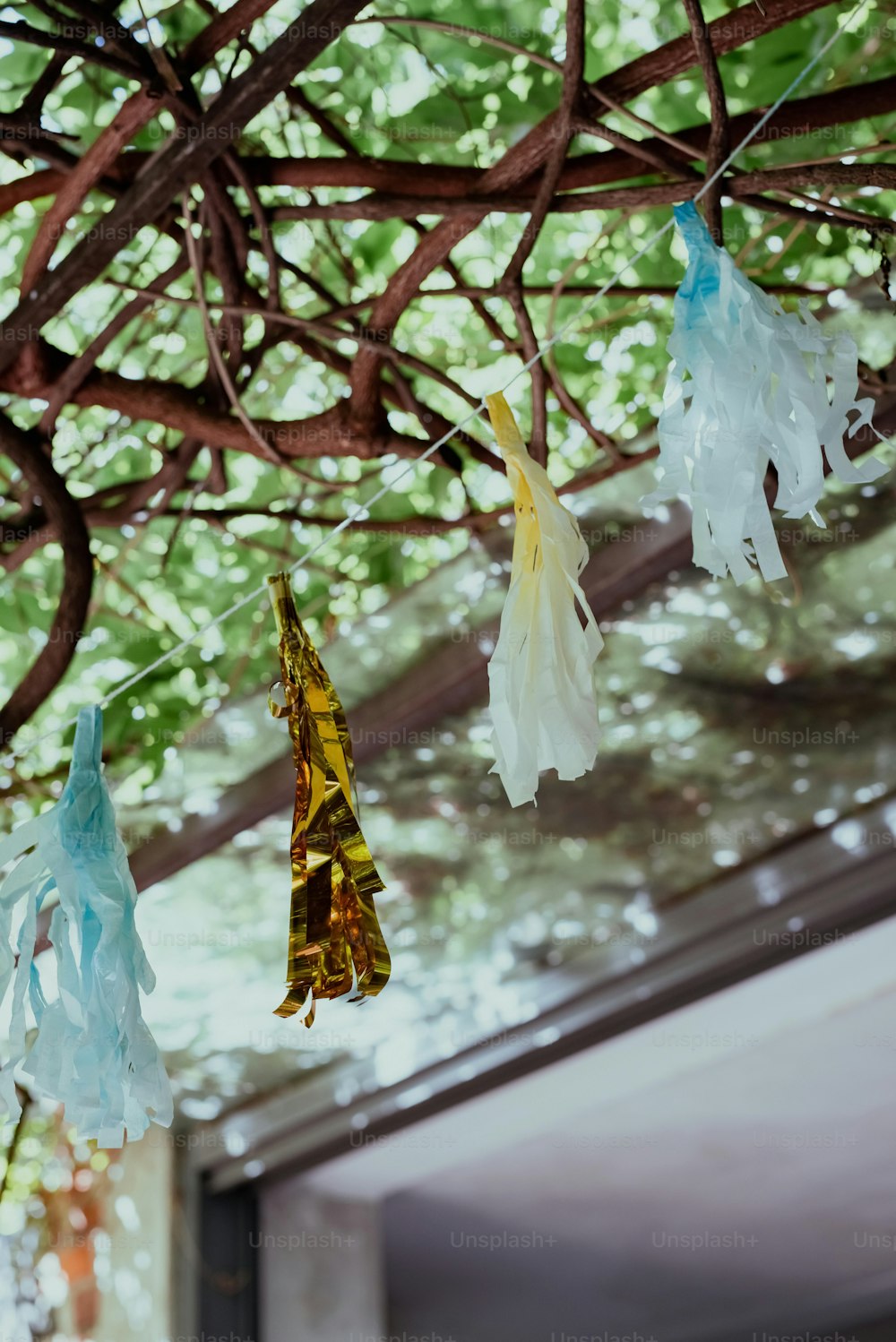un gruppo di sacchetti di plastica appesi a un albero