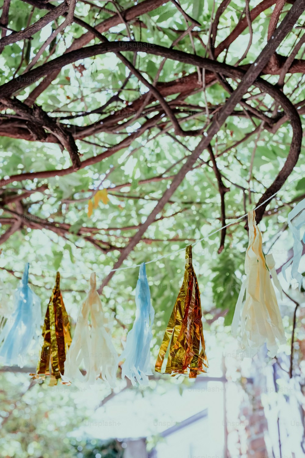 a group of colorful umbrellas hanging from a tree