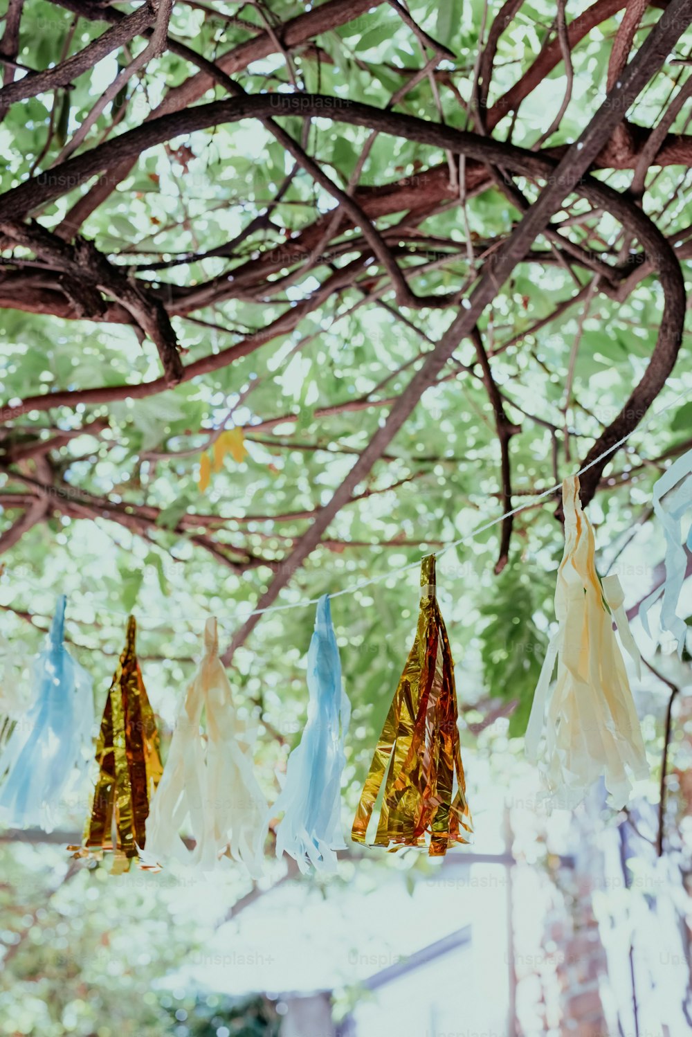 um grupo de guarda-chuvas coloridos pendurados em uma árvore
