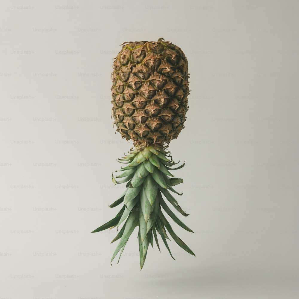 Ripe pineapple on bright background. Minimal fruit concept.