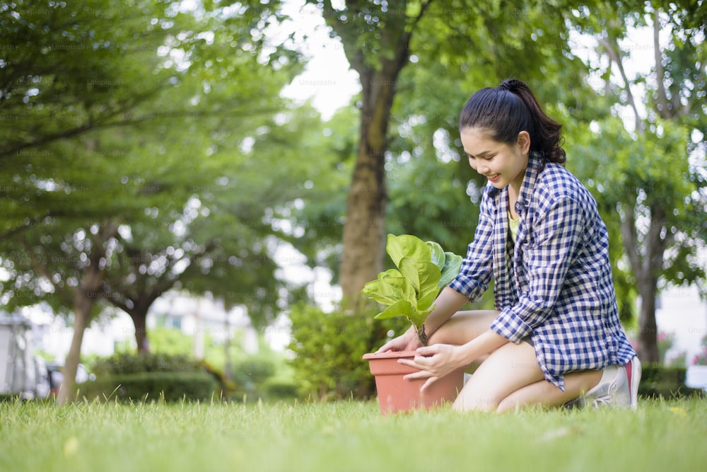 庭に木を植えている女性