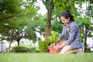 femme plante l’arbre dans le jardin
