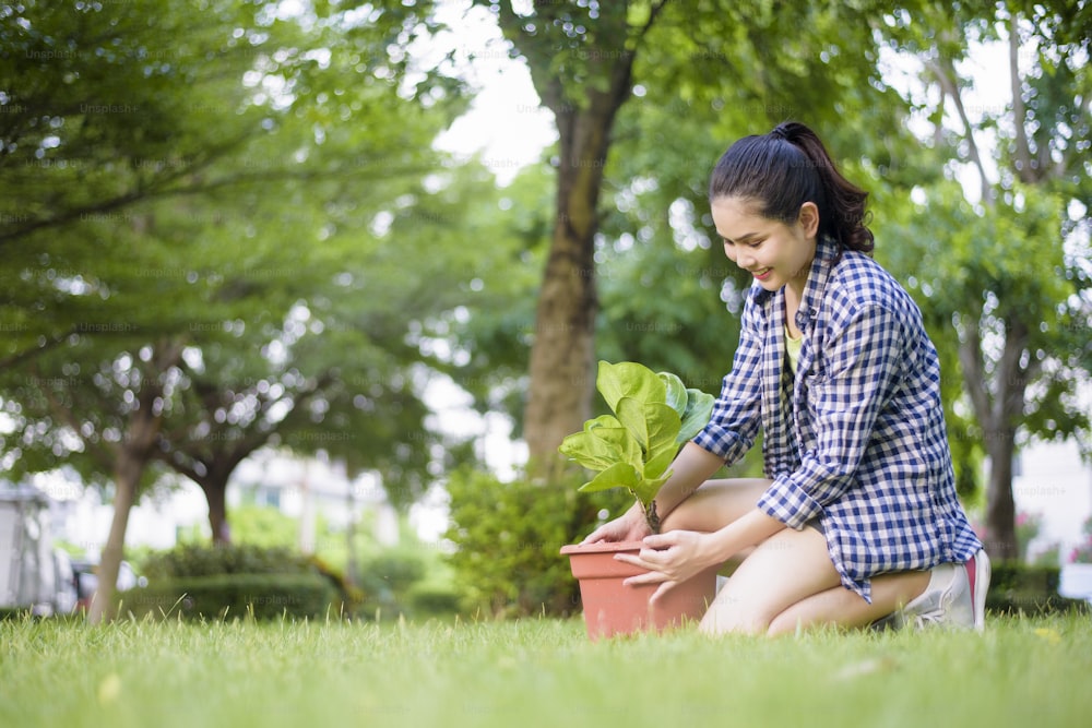 mujer está plantando el árbol en el jardín