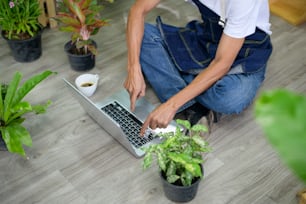 top view of happy senior asian retired man with laptop  is relaxing  and enjoying  leisure activity in garden at home.