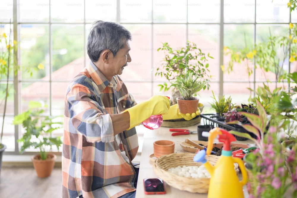 A happy senior asian retired man spraying and watering tree  enjoys  leisure activity at home