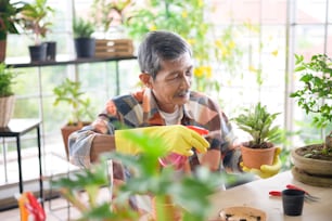 A happy senior asian retired man spraying and watering tree  enjoys  leisure activity at home