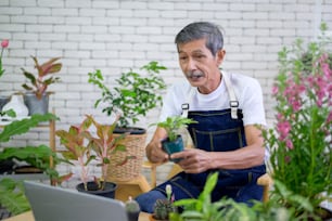 Senior Mann Unternehmer arbeitet mit Laptop präsentiert Zimmerpflanzen während Online-Live-Stream zu Hause und verkauft Online-Konzept