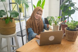 A young muslim woman entrepreneur working with laptop presents houseplants during online live stream at home, selling online concept
