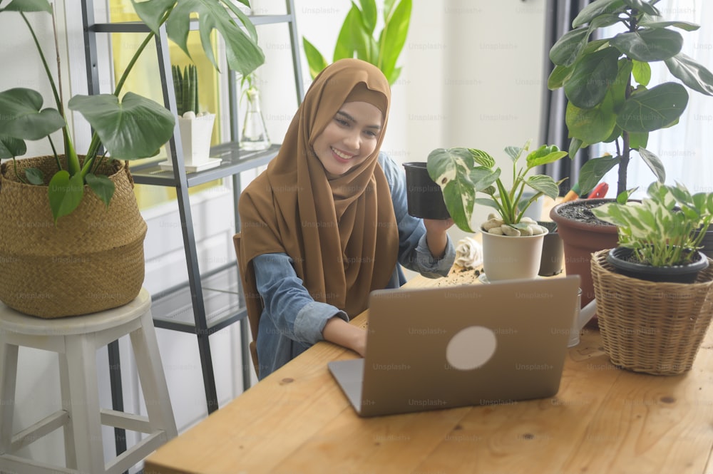 A young muslim woman entrepreneur working with laptop presents houseplants during online live stream at home, selling online concept