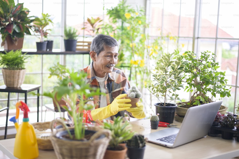 Rainwater collection balcony plants — step-by-step visual example