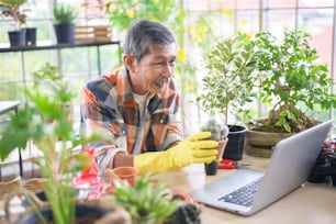 A senior man entrepreneur working with laptop presents houseplants during online live stream at home, selling online concept